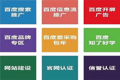 Sem优化公司案例：精准广告投放策略解析